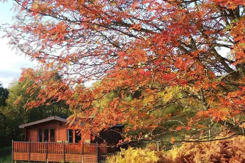 Glas Doire Lodge, Glen Roy Nature Reserve ロイブリッジ エクステリア 写真